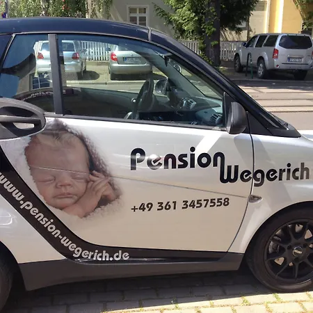 Wegerich 4*