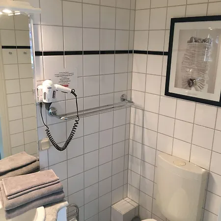 Wegerich 4*