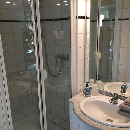 Wegerich 4* Erfurt