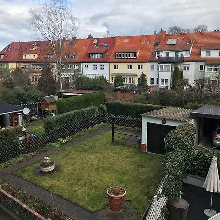 Wegerich 4*
