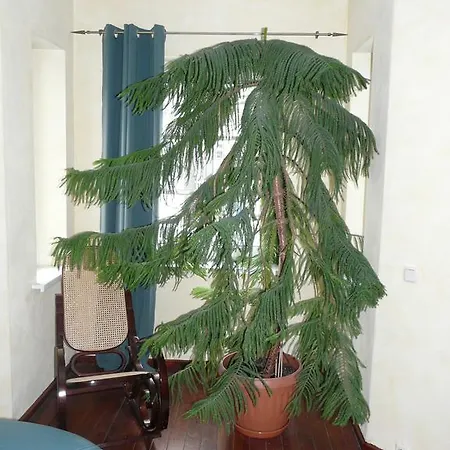 Wegerich Πανσιόν