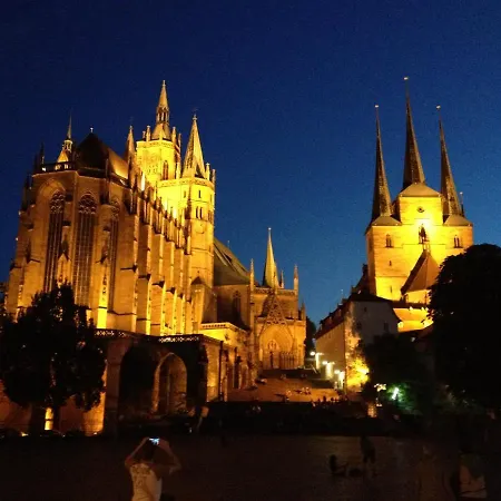 Wegerich 4*