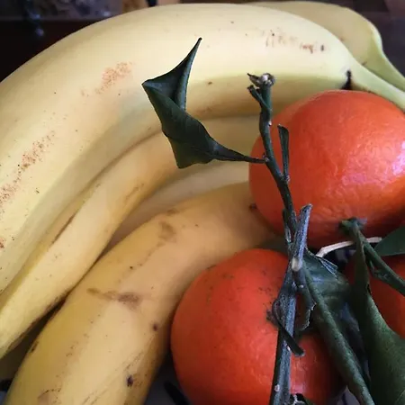 Wegerich Pensión 4*