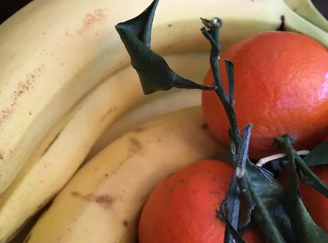 Wegerich Konukevi 4*